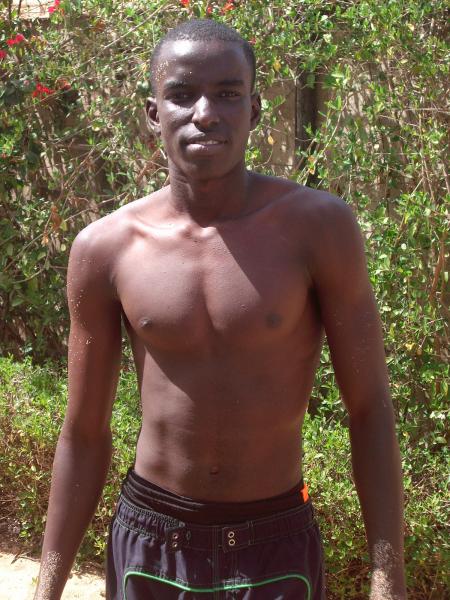 lamine